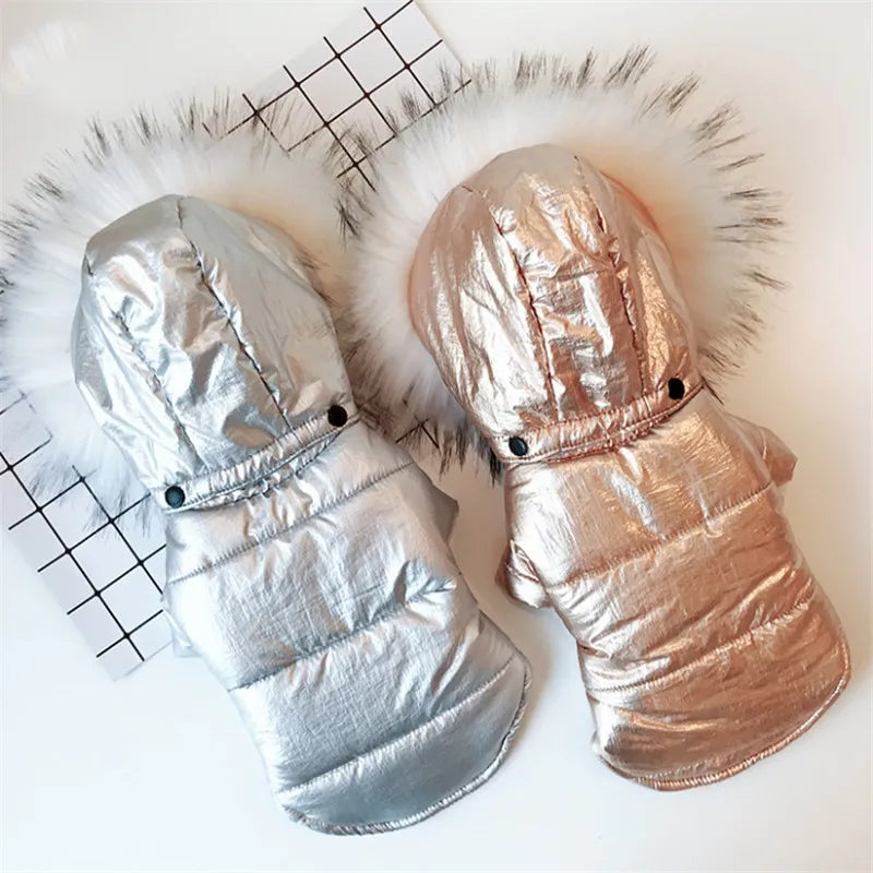Mode Canine — vêtements pour chien Maison Poméra