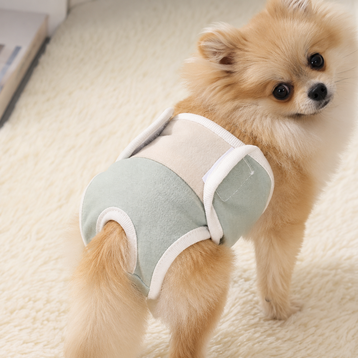 Hygiène — culottes physiologiques Maison Poméra